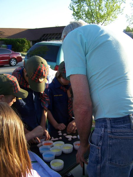 2. Picking out the fossils.JPG
